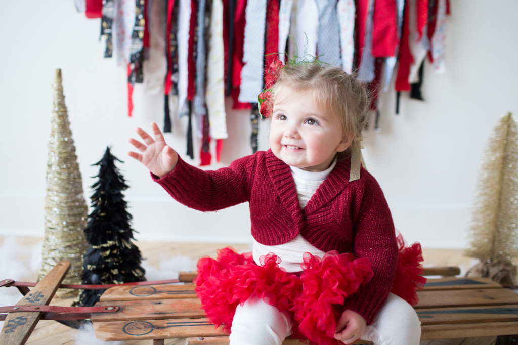 Familly Christmas Photos | The Day's Design | Hetler Photography