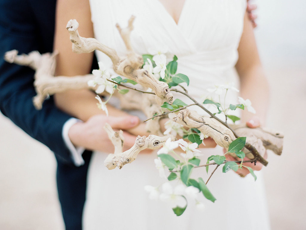 Driftwood | The Day's Design | Ashley Slater Photography
