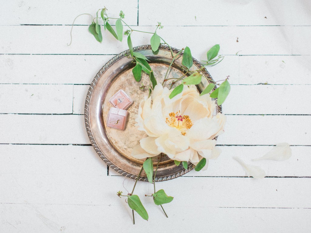 Peony for President | The Day's Design | Samantha James Photography