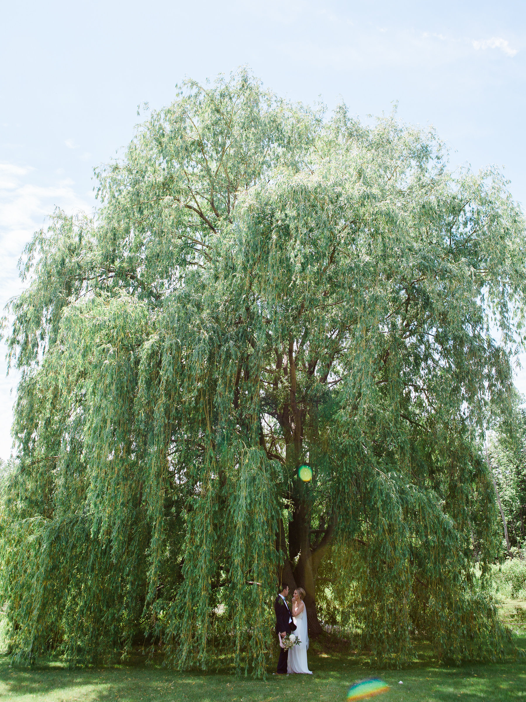 Willow Tree | The Day's Design | Ashley Slater Photography