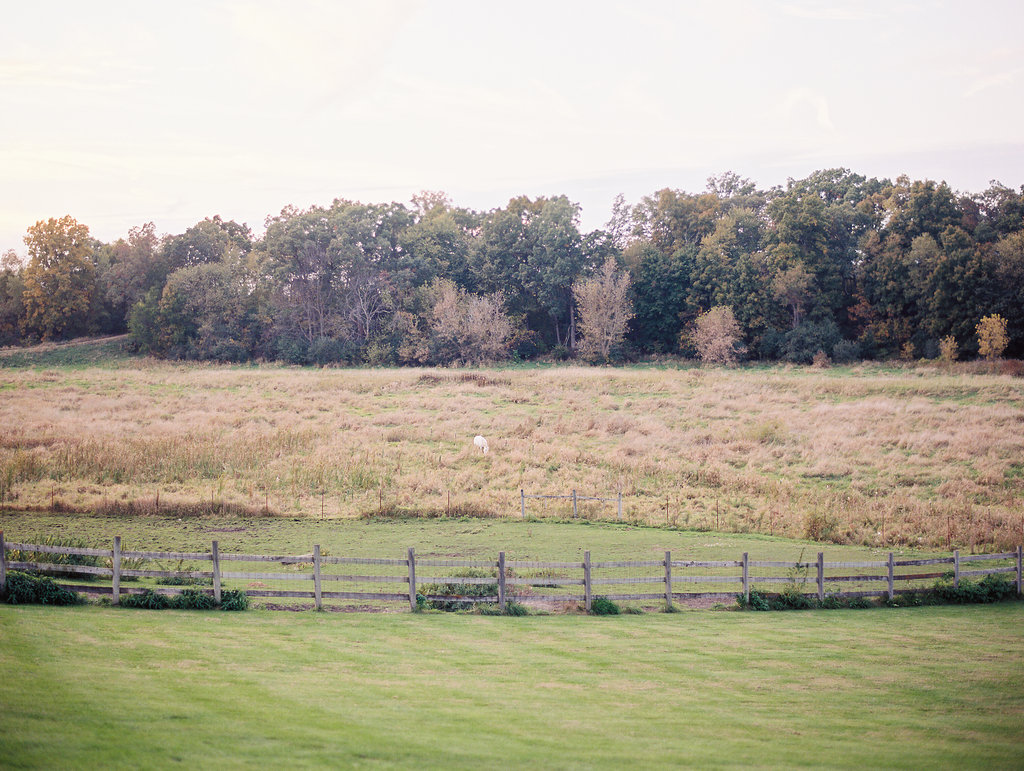 Ann Arbor Wedding | The Day's Design | Ashley Slater Photography