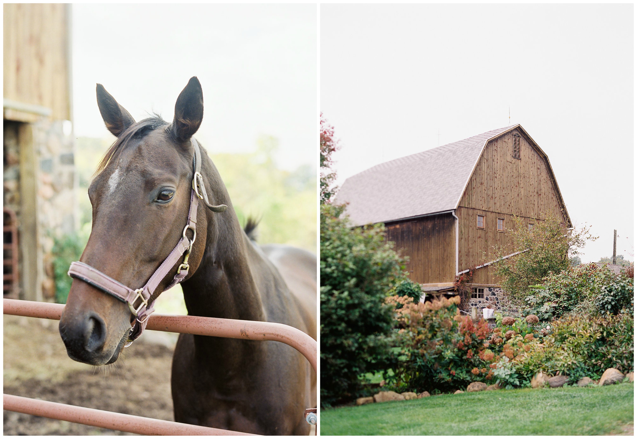 Neutral Autumn Wedding