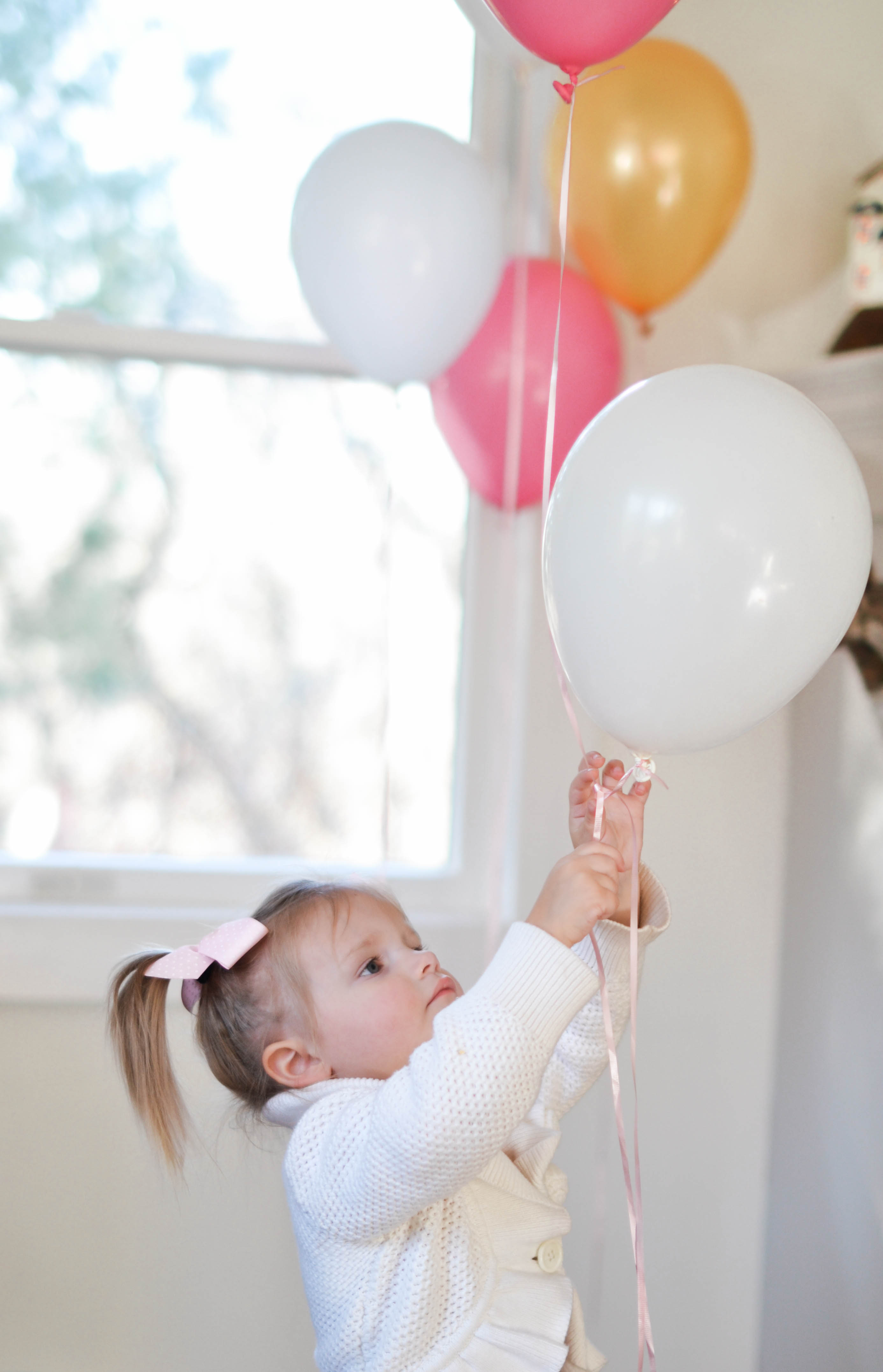 5th Birthday Party