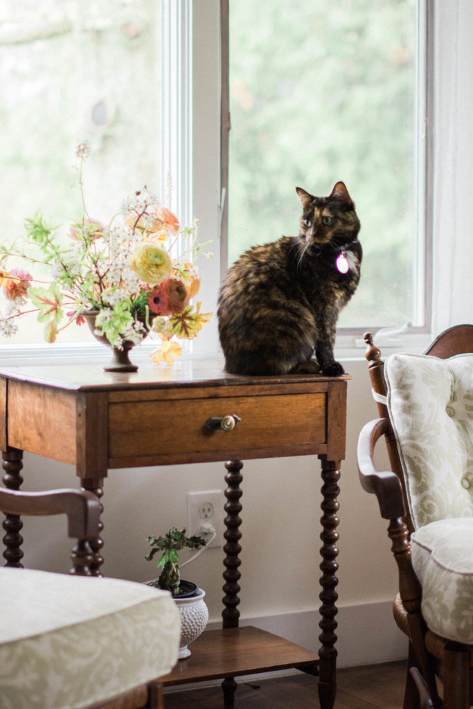 Making Your House a Home | TownLine Journal