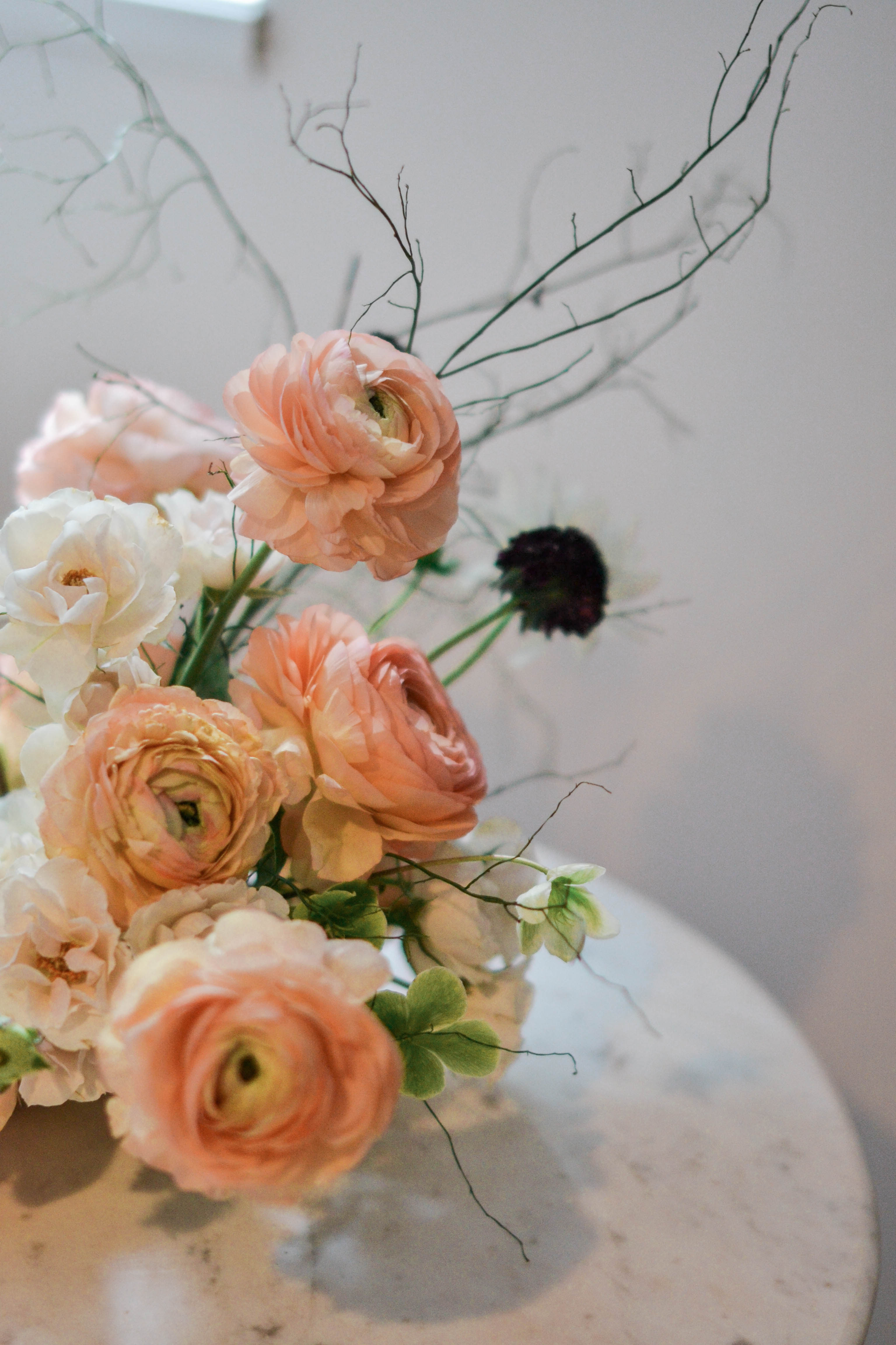 Living Coral | The Day's Design | TownLine Journal