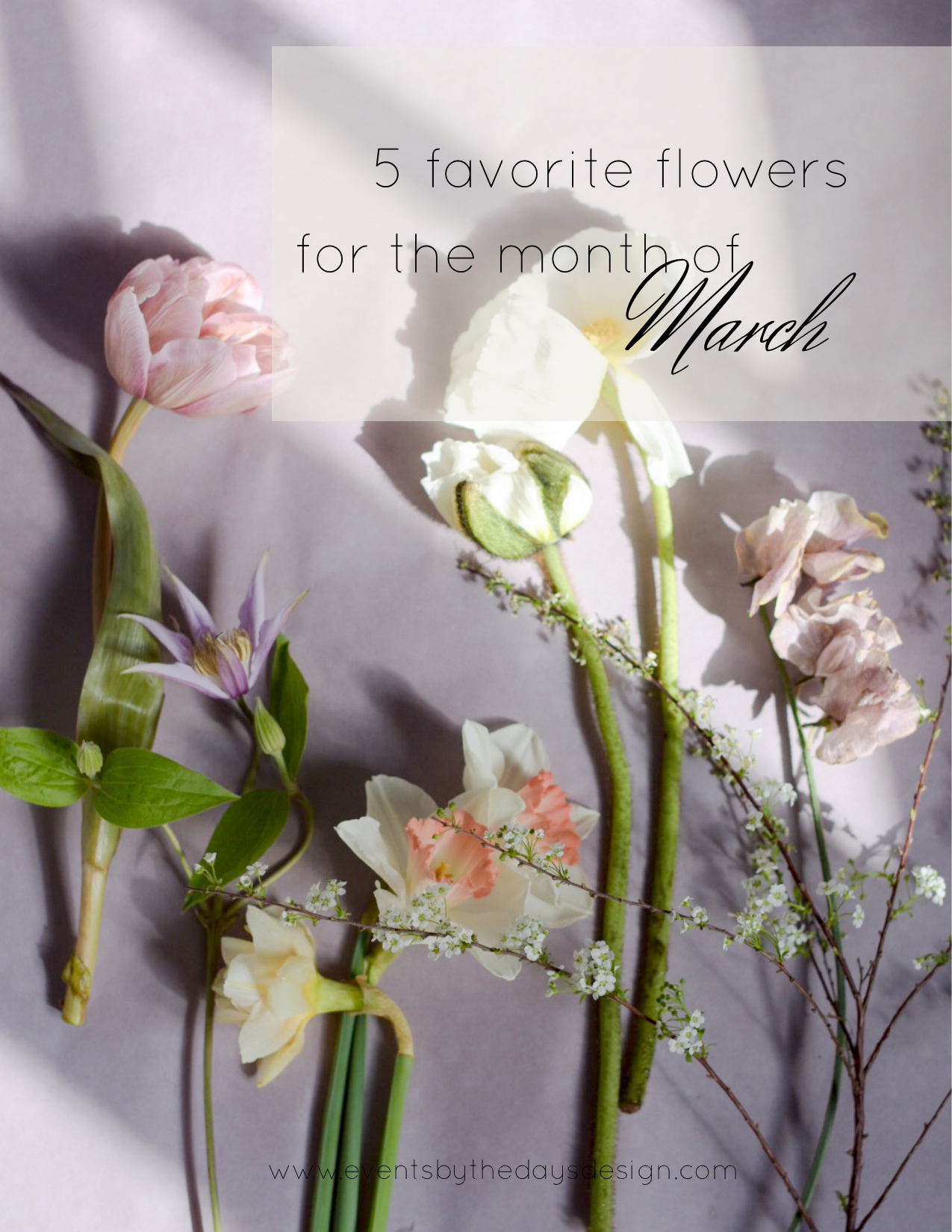 the best flowers for the month of March
